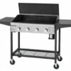 Gas Caterer 4 Burner