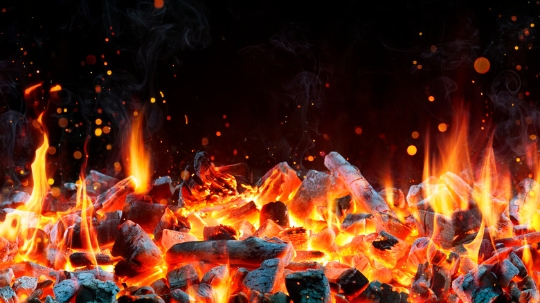 STYLE SELECTIONS Sales -AU BBQ Supplies Sales 2024 intro 1683745220